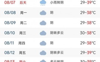 上海温度天气预报15天-精准分析与生活指南