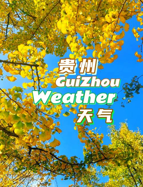 遵义市汇川区天气预报,气候特征与生活指南-全方位解读-第2张图片-123天气 遵义市汇川区天气预报,气候特征与生活指南-全方位解读-第2张图片-123天气