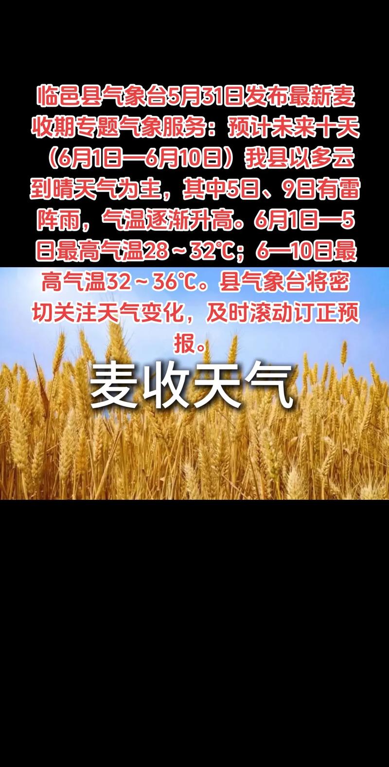 德州临邑天气预报15天查询：精准气象分析与生活指南-第2张图片-123天气