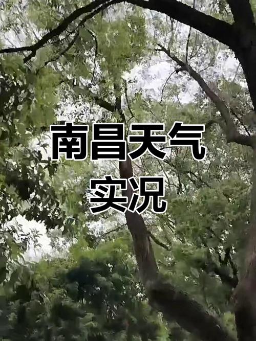 南昌30天天气预报：精准气象分析与生活指南-第1张图片-123天气